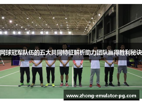 网球冠军队伍的五大共同特征解析助力团队赢得胜利秘诀