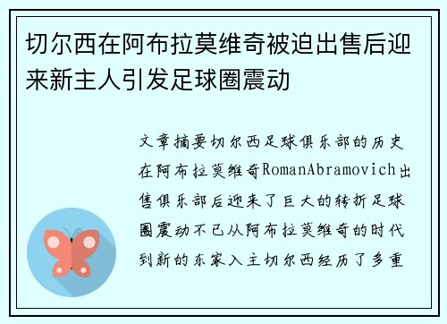 切尔西在阿布拉莫维奇被迫出售后迎来新主人引发足球圈震动