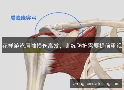 花样游泳肩袖损伤高发，训练防护需要提前重视